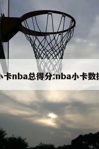 小卡nba总得分:nba小卡数据